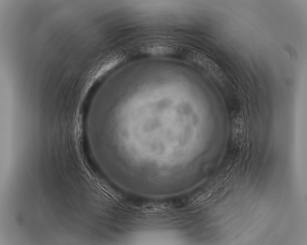 X0000113340727200909151130