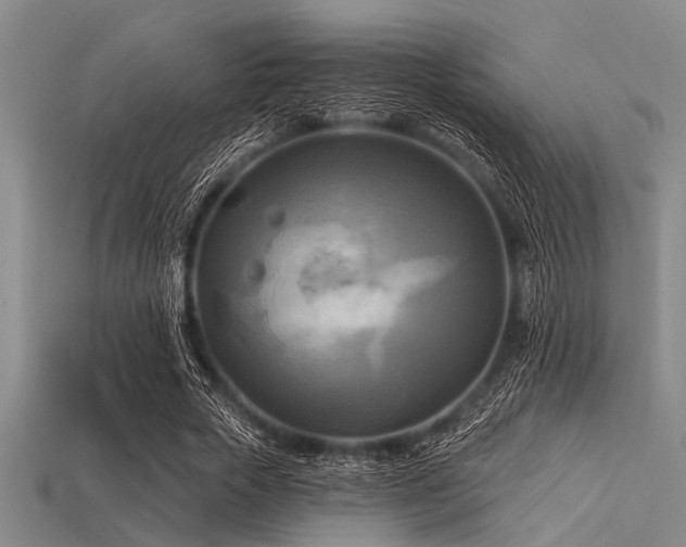X0000113340729200909151130
