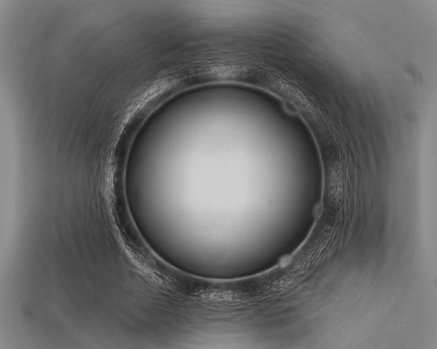 X0000113340730200909151130