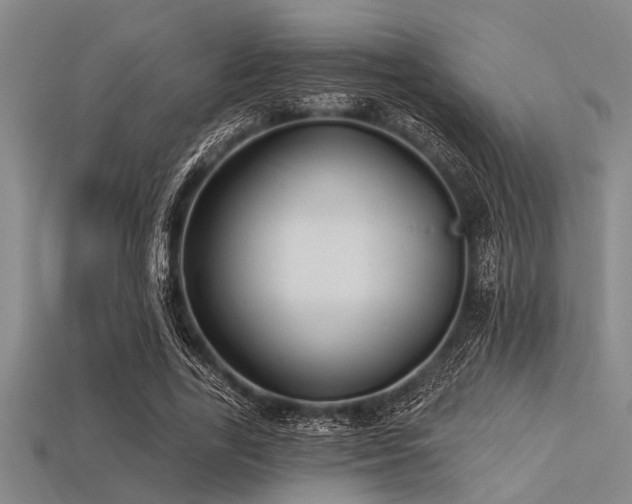 X0000113340731200909151130