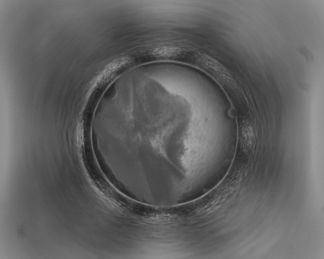 X0000113340734200909151130