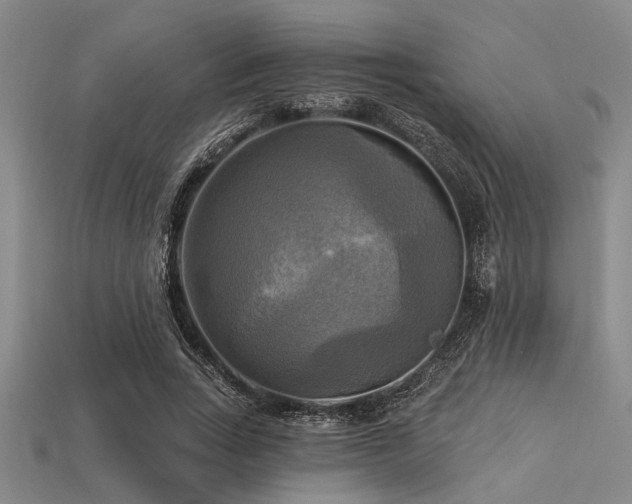 X0000113340735200909151131