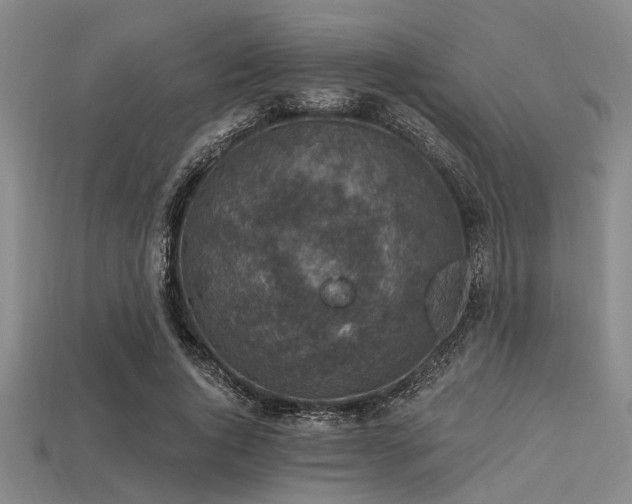 X0000113340736200909151131
