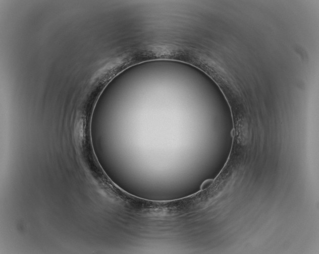 X0000113340740200909151131