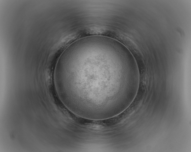 X0000113340743200909151131