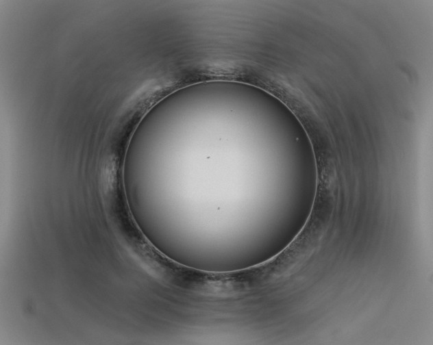 X0000113340744200909151131