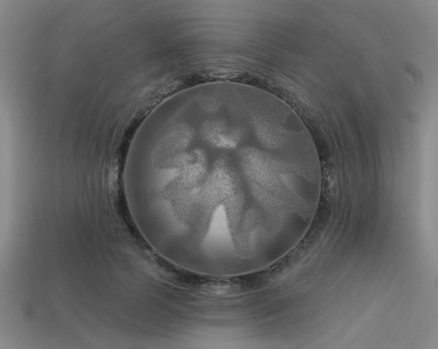 X0000113340745200909151131