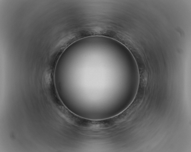 X0000113340746200909151131