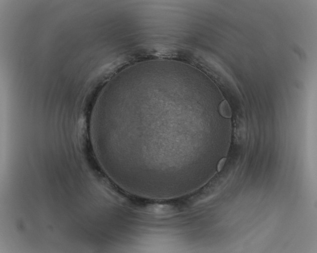 X0000113340748200909151131