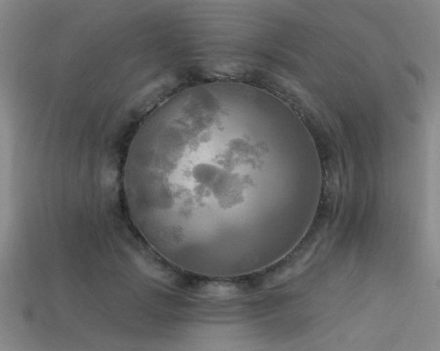 X0000113340749200909151131