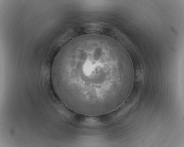 X0000113340753200909151131