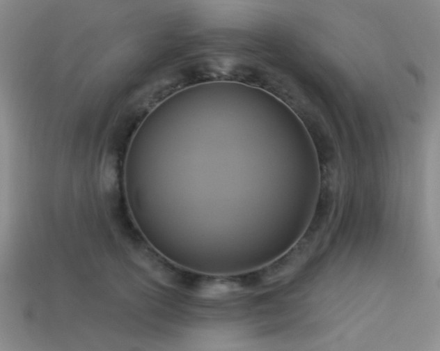 X0000113340754200909151131
