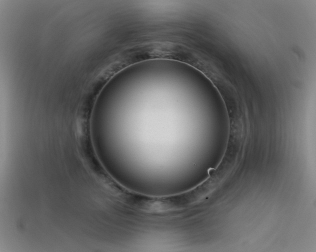 X0000113340755200909151131