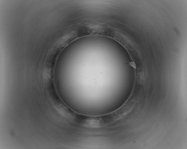 X0000113340756200909151131