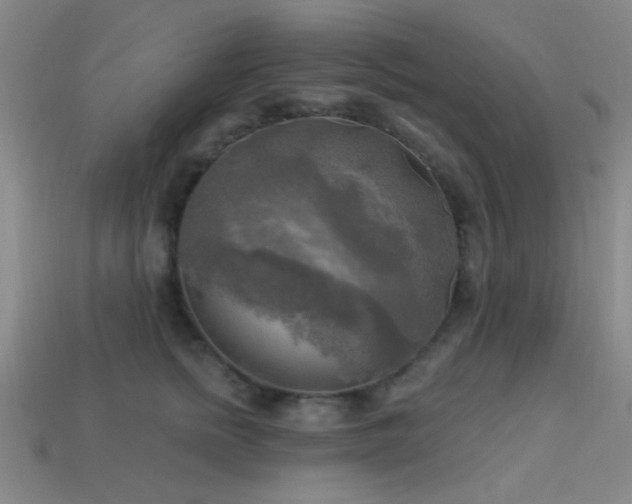 X0000113340758200909151131