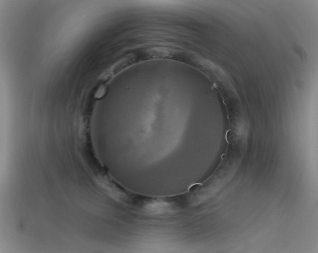 X0000113340759200909151131