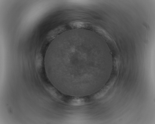 X0000113340760200909151131