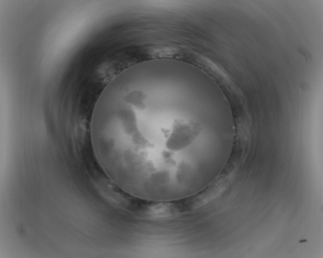 X0000113340761200909151131