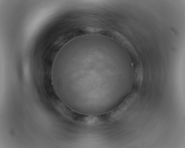 X0000113340762200909151131