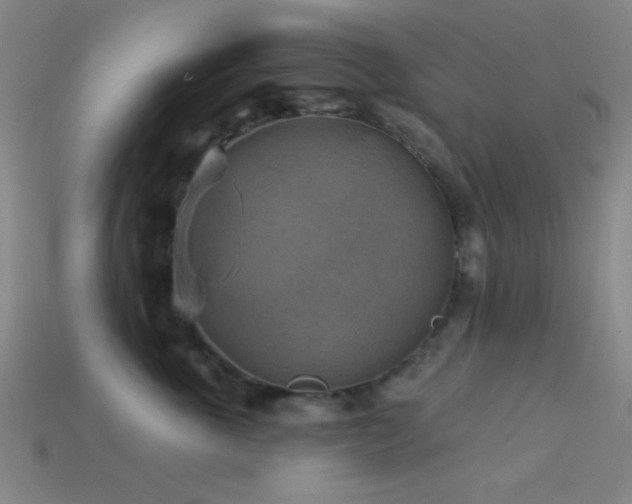 X0000113340763200909151131