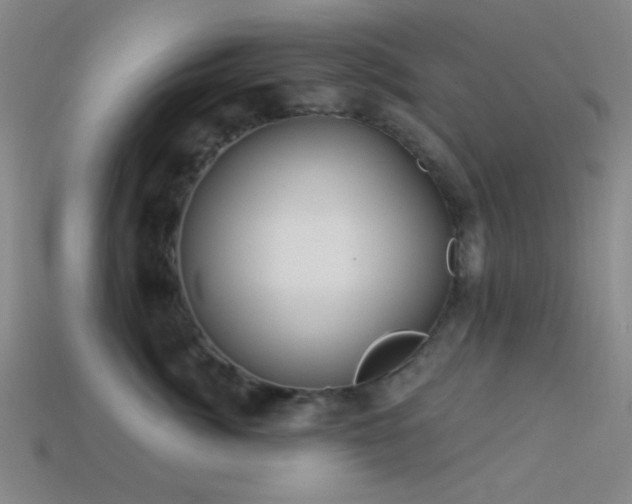 X0000113340764200909151131