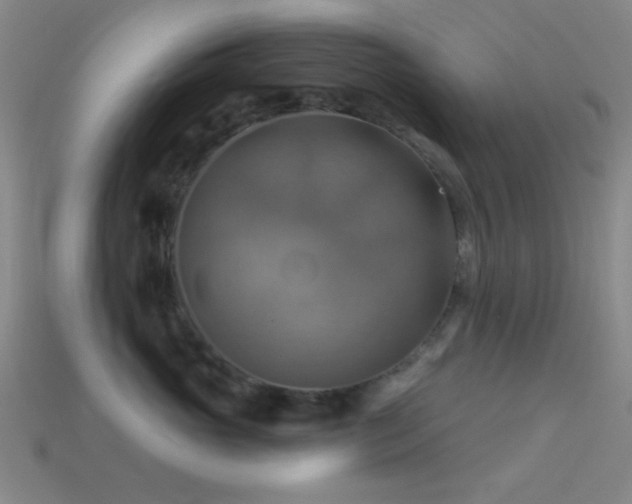 X0000113340765200909151131