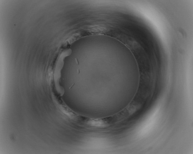 X0000113340767200909151131