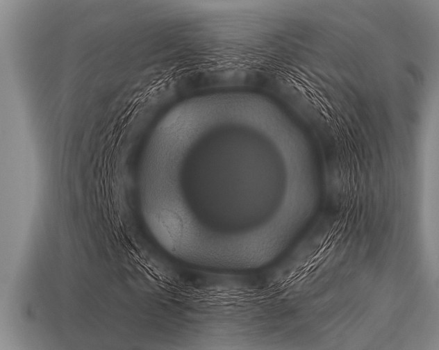 X0000113340769200909151130