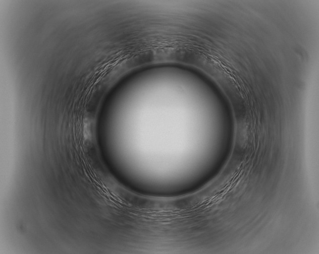 X0000113340770200909151130
