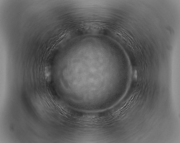 X0000113340771200909151130