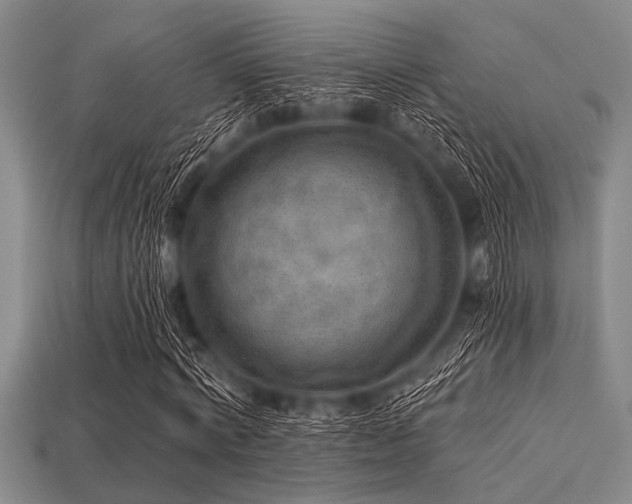 X0000113340772200909151130