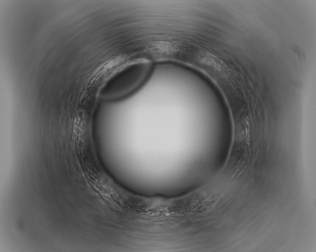 X0000113340773200909151130