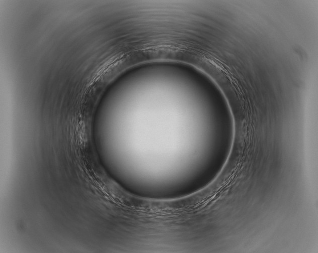 X0000113340774200909151130
