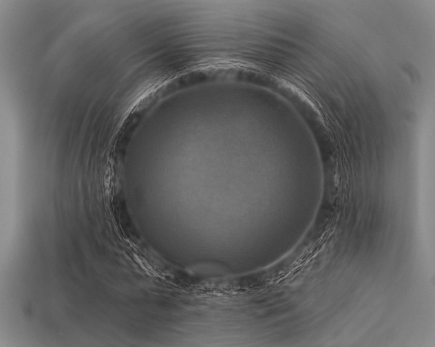 X0000113340775200909151130