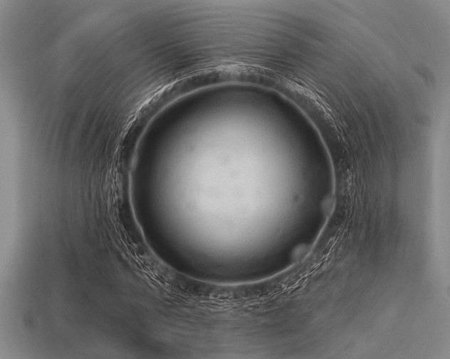 X0000113340776200909151130