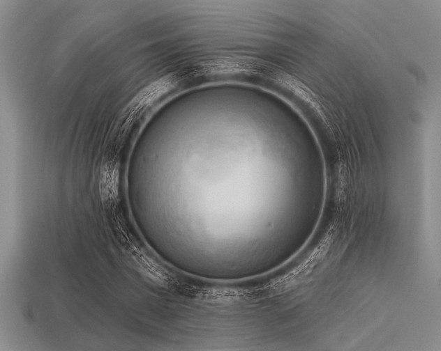 X0000113340777200909151130