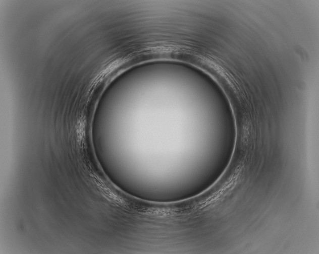 X0000113340778200909151130