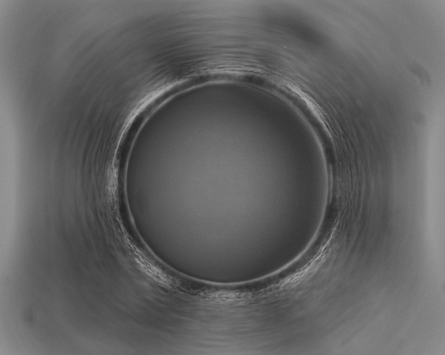 X0000113340779200909151130