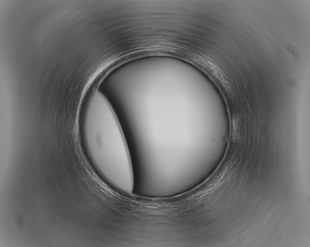 X0000113340780200909151130