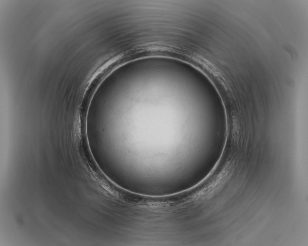 X0000113340782200909151130