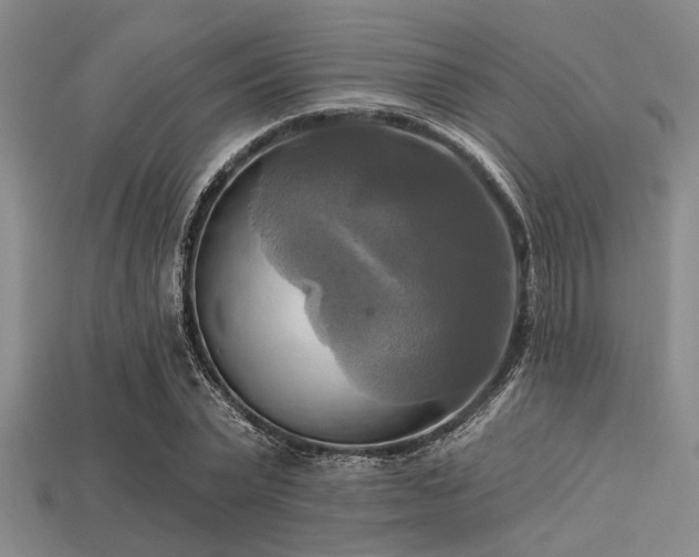 X0000113340783200909151130