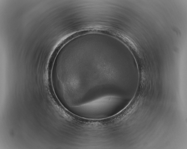 X0000113340784200909151130