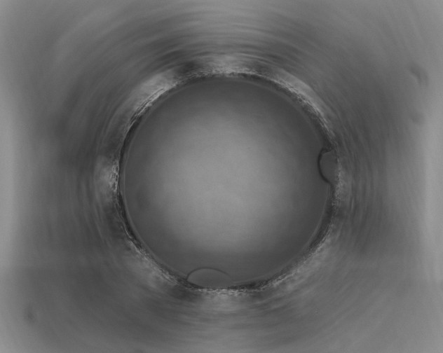 X0000113340785200909151130