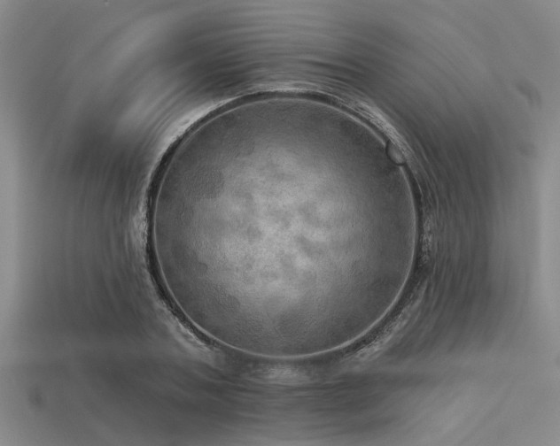X0000113340787200909151130
