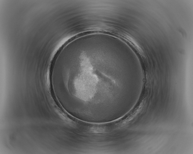 X0000113340788200909151130