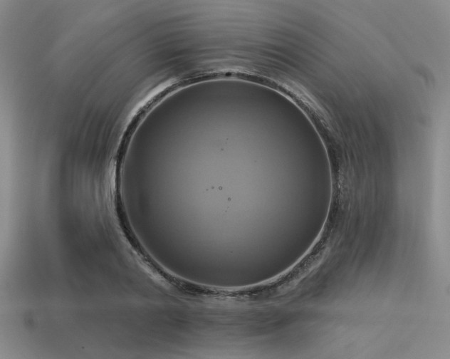 X0000113340790200909151130