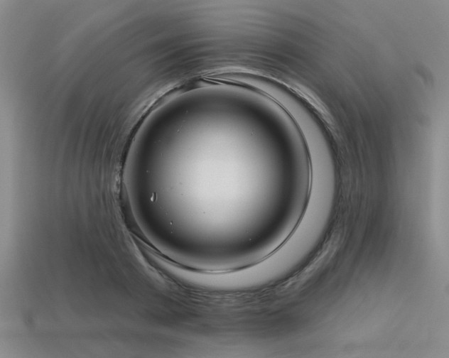X0000113340793200909151130