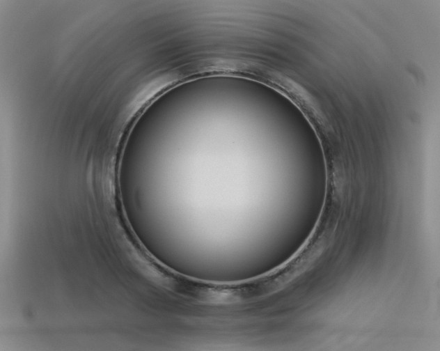 X0000113340794200909151130
