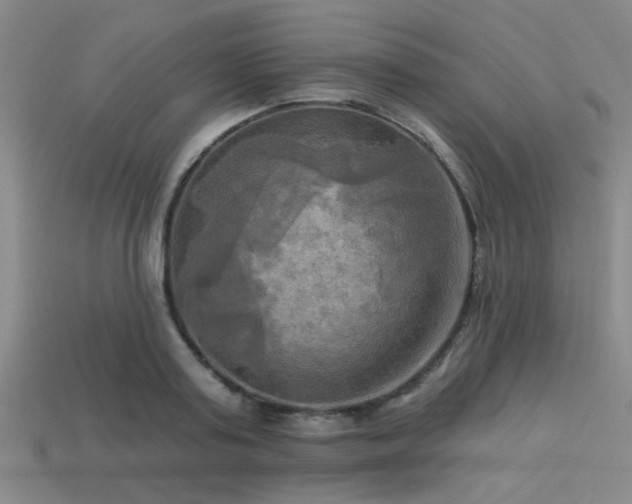 X0000113340795200909151130