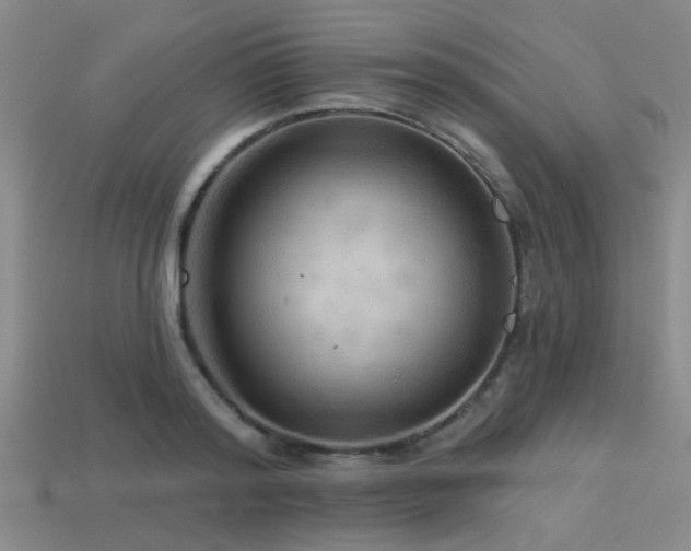 X0000113340796200909151130